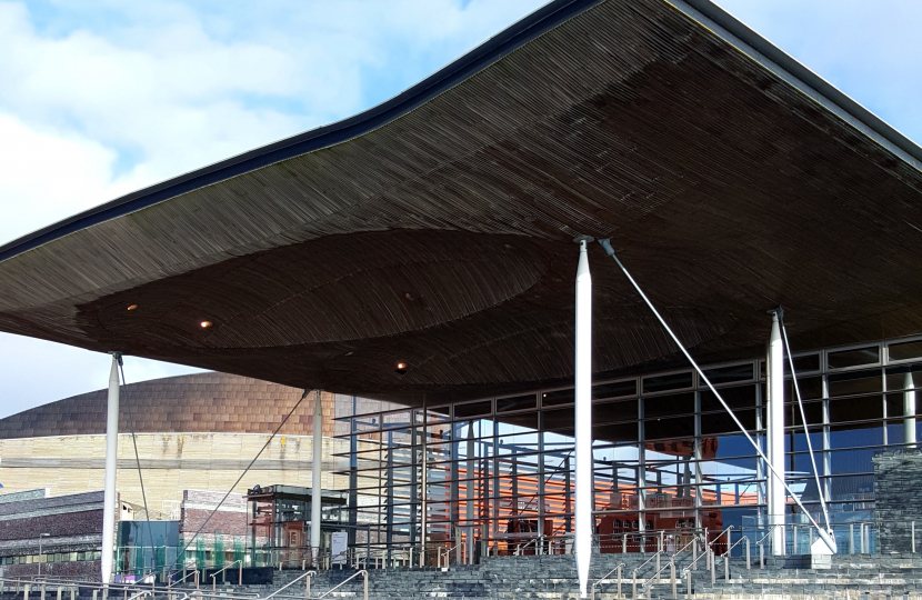 Senedd Reform - Give Wales a Say 